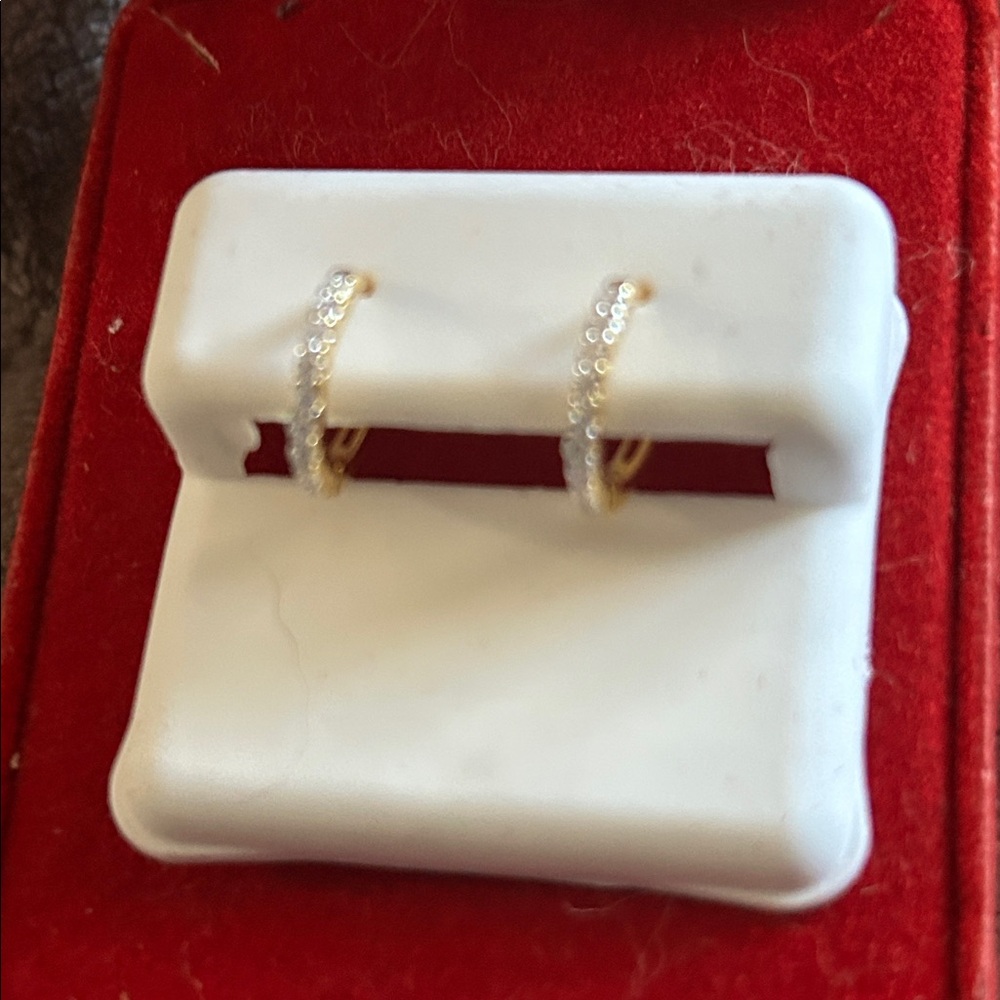 Chic Gold and Silver Tone Earrings